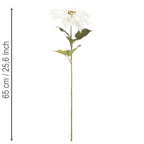 Artificial white poinsettia, large flowering branch decoration, 65cm, 2 pieces | Floristik24.ie