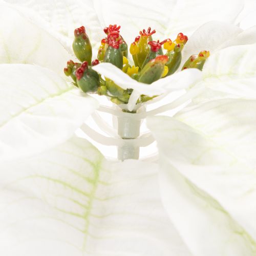 Artificial white poinsettia, large flowering branch decoration, 65cm, 2 pieces | Floristik24.ie