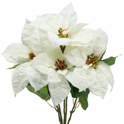 Floristik24 Poinsettia bouquet white 52cm