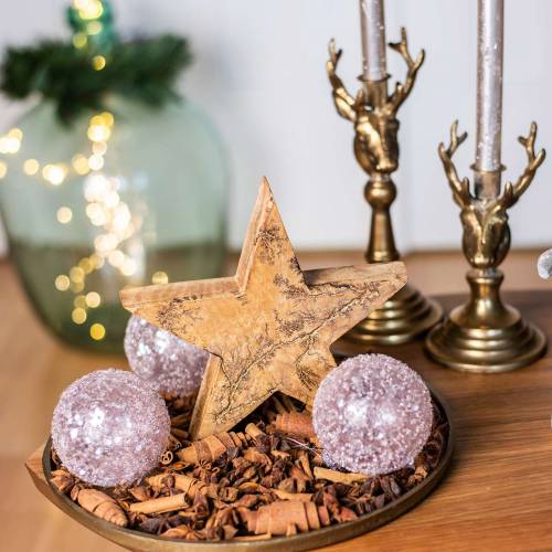 Floristik24 Poinsettia standing mango nature, golden 20 × 20 × 3.5cm