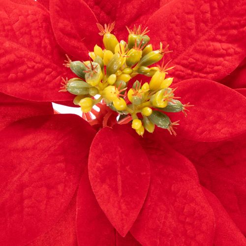 Artificial Poinsettia Red Single Stem Decoration 82cm | Floristik24.ie