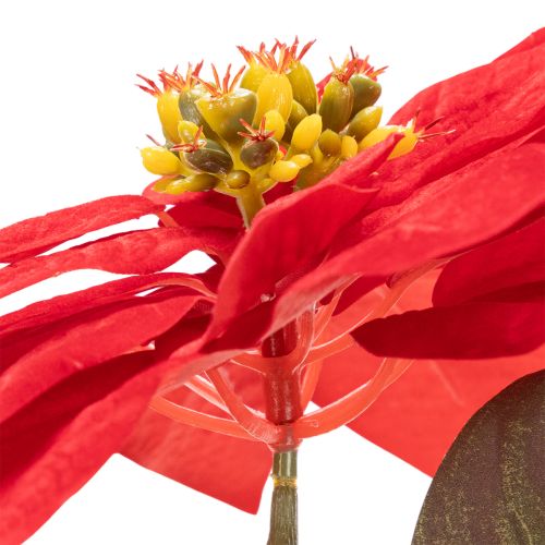 Artificial Poinsettia Red Single Stem Decoration 82cm | Floristik24.ie