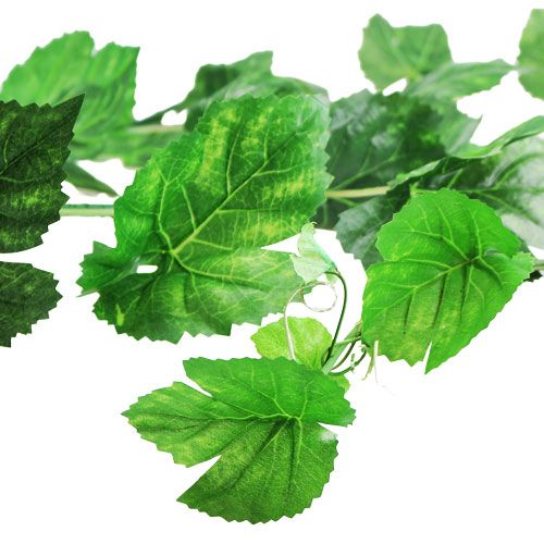 Product Vine leaf garland green 2.7m