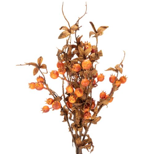 Artificial hawthorn branch, autumn decoration, 75cm | Floristik24.ie