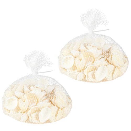 Floristik24 White Shells Decorative Cockles 2-3.5cm 300g × 2pcs