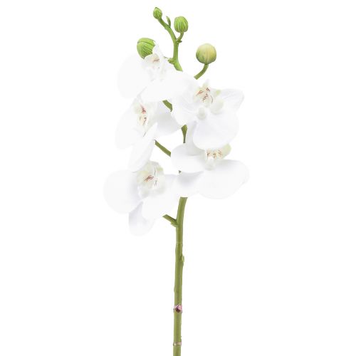 Product White Artificial Orchid Phalaenopsis Real Touch 32cm