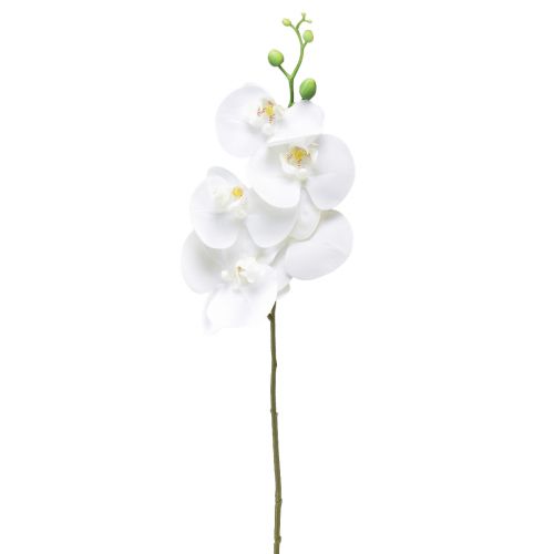 Floristik24 White Artificial Orchid Phalaenopsis Real Touch 85cm
