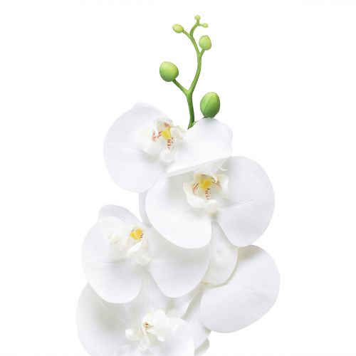Product White Artificial Orchid Phalaenopsis Real Touch 85cm