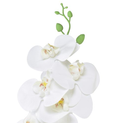 Product White Orchid Artificial Phalaenopsis Real Touch H83cm