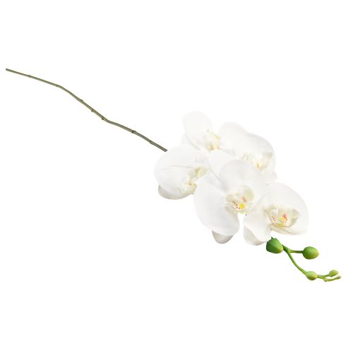 Product White Orchid Artificial Phalaenopsis Real Touch H83cm