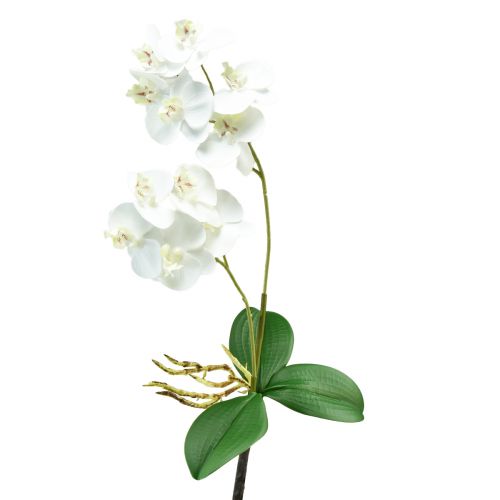 White Orchid on Pick Artificial Phalaenopsis Real Touch 39cm