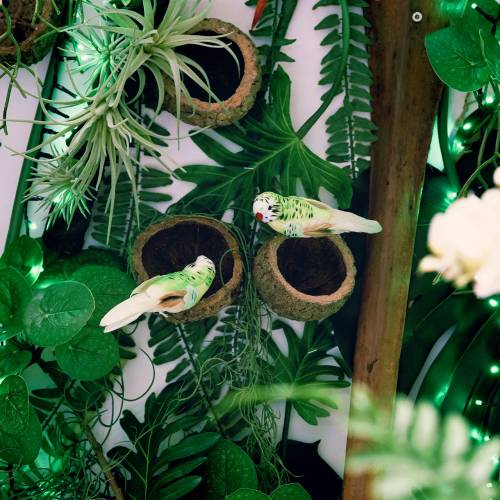 Floristik24 Budgie on clip green 13cm 6pcs