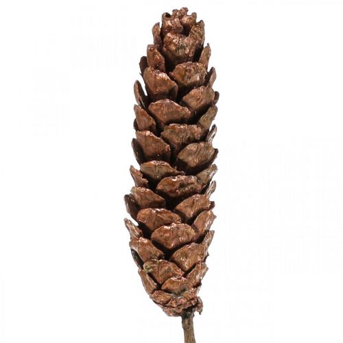 White pine cones Pine cones copper 70cm 7pcs bundle