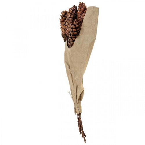 Floristik24 Weymouth pine cones pine cones copper 70cm 7 pcs bunch