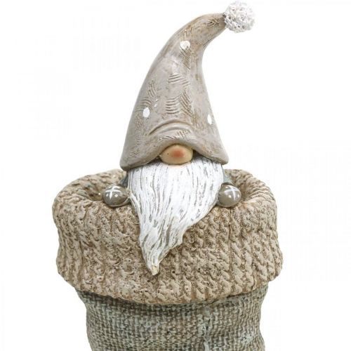 Floristik24 Gnome Stocking Christmas Gnome Gray White H22cm