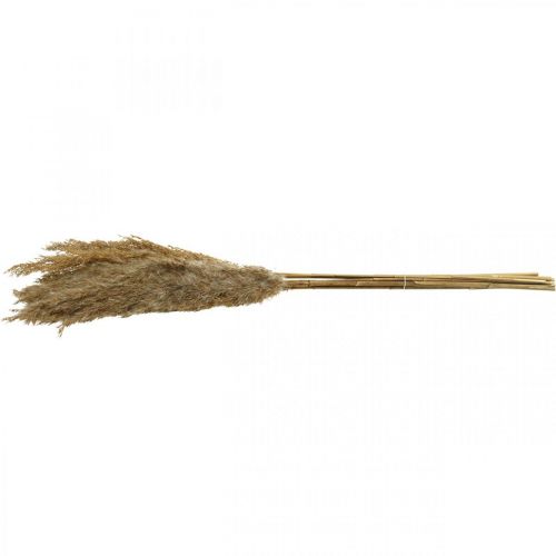 Product Dried grasses, sedge, natural, 75cm, dried flower decoration, 10 pieces