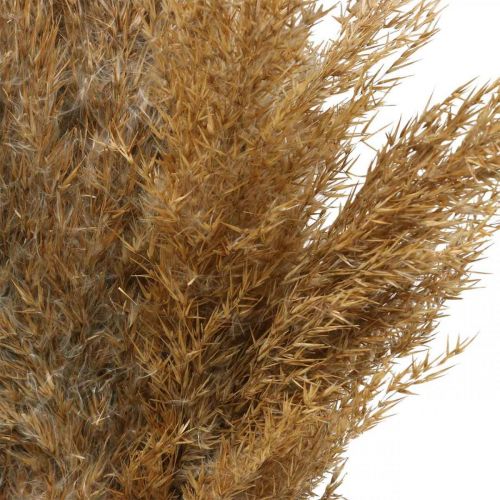 Dry grass sedge natural dry decoration 75cm 10p