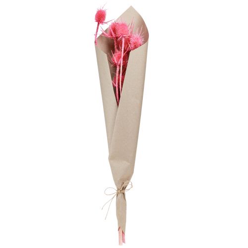 Product Wild teasel dried decoration, pink thistles, 53cm, 10 heads