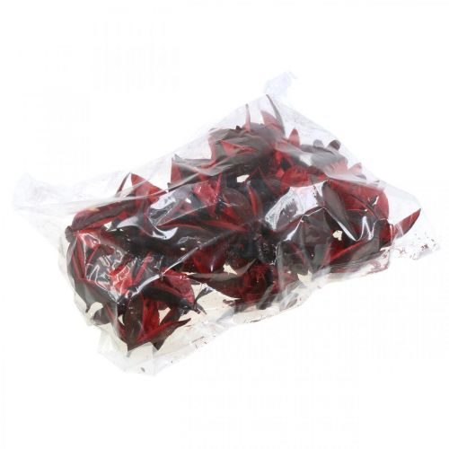 Floristik24 Wild Lily Red Natural Decoration Dried Flowers 6-8cm 50 pcs