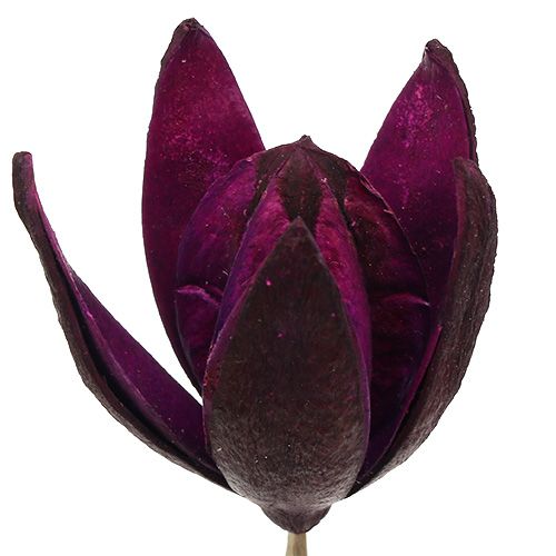 Floristik24 Wild lily for decoration on stem Mix Pink, Erika 45 pcs