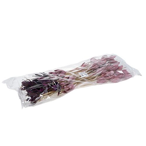 Floristik24 Wild lily for decoration on stem Mix Pink, Erika 45 pcs