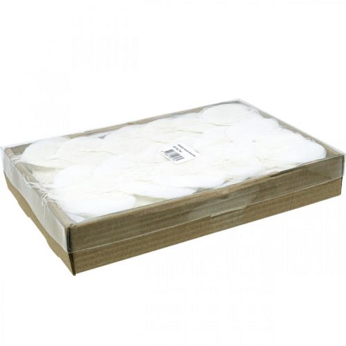 Floristik24 Bleached skeleton leaves Willow leaves skeletonized 8-10cm 300 pcs