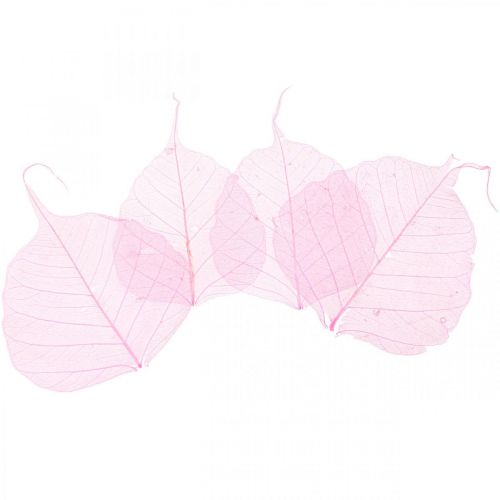 Product Skeleton leaves, pink decorative willow leaves 5-9cm, 200 pieces - Ideal for greeting cards & DIY