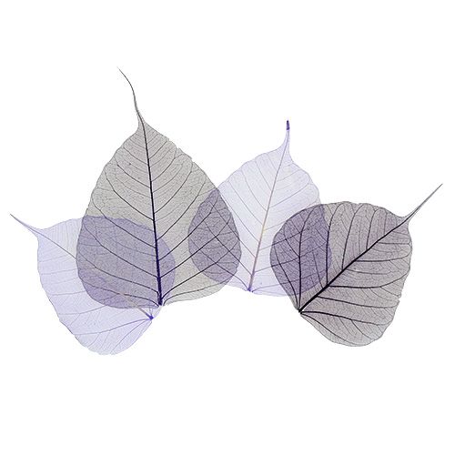 Willow leaves skeletonized purple sort. 200 pieces