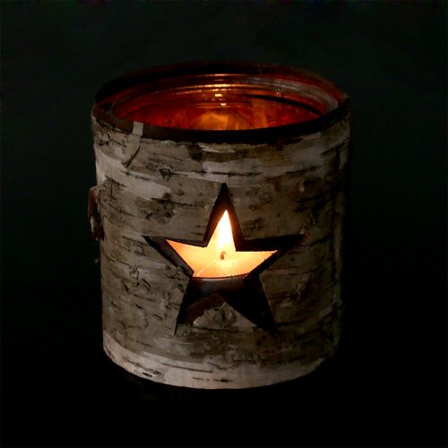 Floristik24 Lantern star with birch Ø10.5cm H11cm 1p