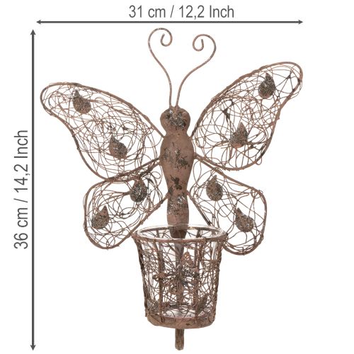 Metal lantern, wall decoration, butterfly, rust finish, 36.5cm | Floristik24.ie
