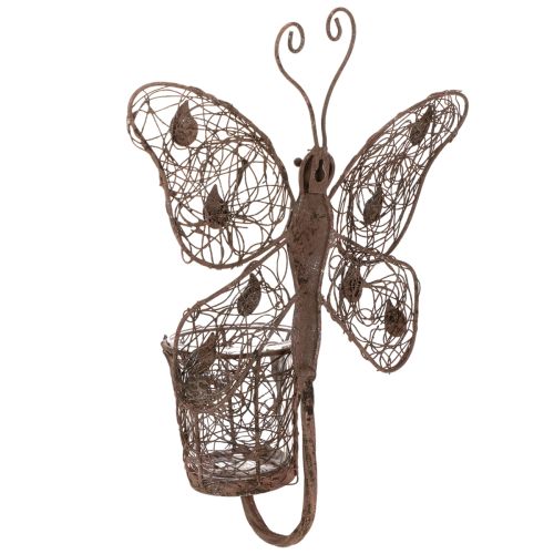 Metal lantern, wall decoration, butterfly, rust finish, 36.5cm | Floristik24.ie