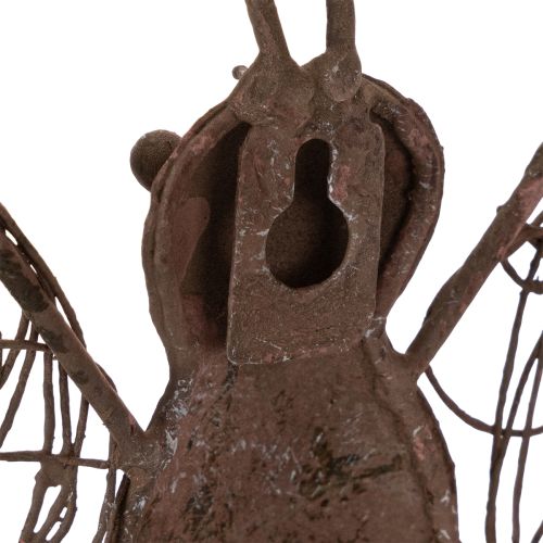 Metal lantern, wall decoration, butterfly, rust finish, 36.5cm | Floristik24.ie