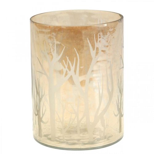Lantern Glass Trees Brown Candle Glass Ø12cm H15cm