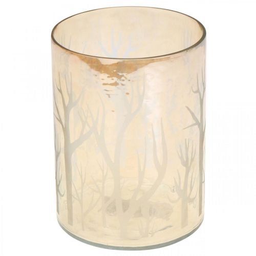 Product Lantern Glass Trees Brown Candle Glass Ø12cm H15cm