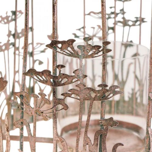 Floristik24 Lantern metal hanging decoration Ø29/23.5cm birdcage decoration set of 2