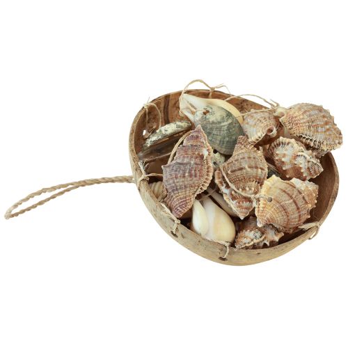 Product Wind chime maritime decoration with natural coconut Ø12.5cm 48cm