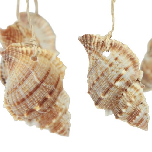 Product Wind chime maritime decoration with natural coconut Ø12.5cm 48cm