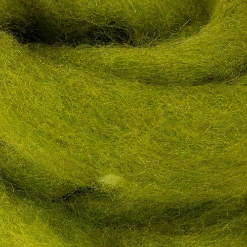 Product Wool wick Soft felted wool for decorative designs and seasonal arrangements 2m Green