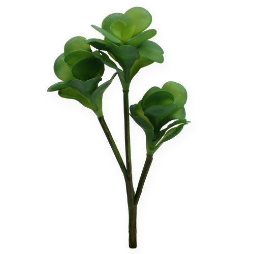 Floristik24 Artificial plants desert cabbage green 25cm 3pcs