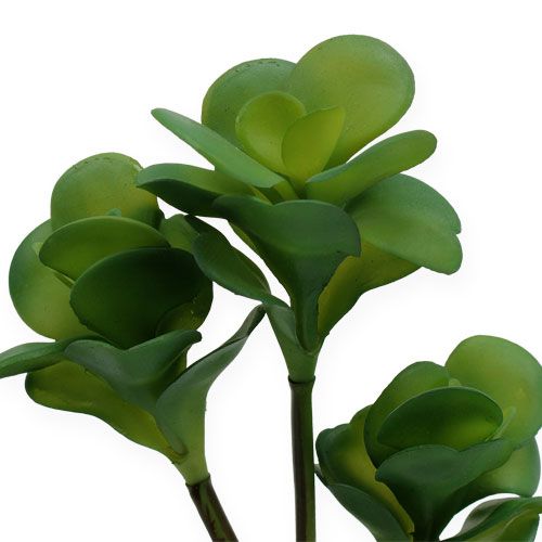 Floristik24 Artificial plants desert cabbage green 25cm 3pcs