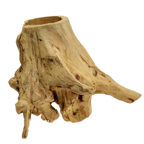 Floristik24 Decorative pot root natural 33cm x 29cm H30cm