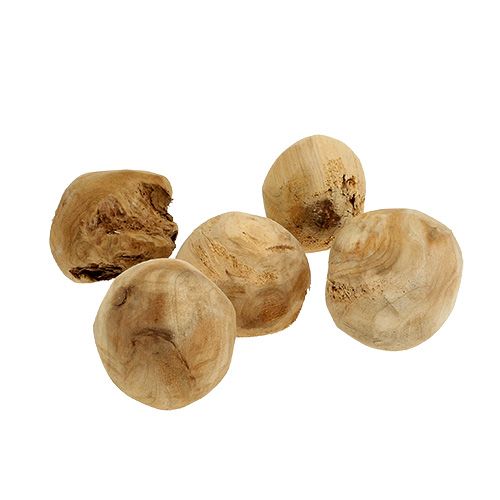 Floristik24 Root ball fir wood Ø7cm natural 5 pcs