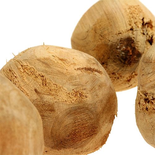 Floristik24 Root ball fir wood Ø7cm natural 5 pcs