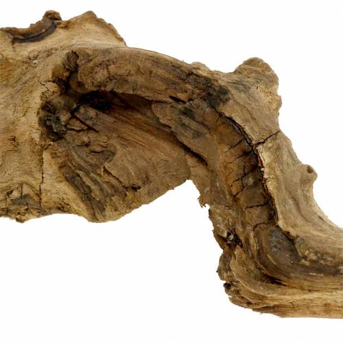 Floristik24 Decorative root natural 1kg