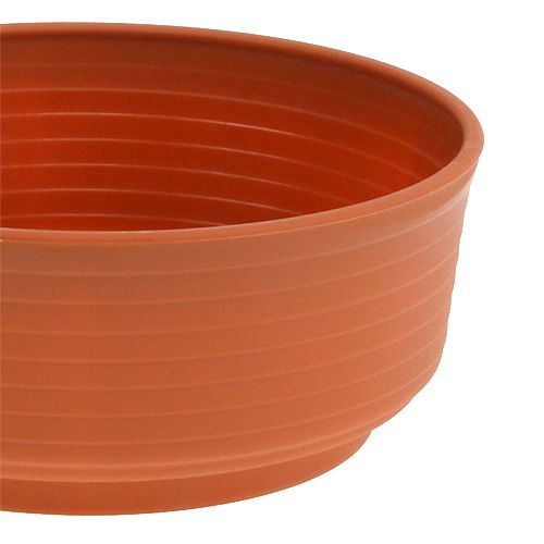 Product Z bowl plastic 18cm 10pcs