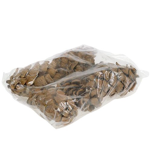 Floristik24 Cones natural 9cm - 10cm 6 pcs