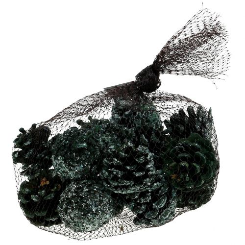 Floristik24 Pine cones green iced 200g