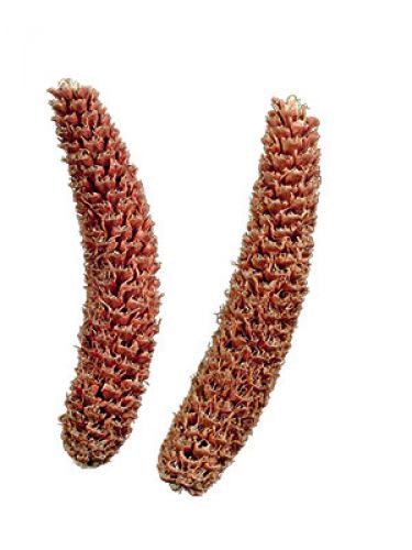 Floristik24 Natural spruce cones, grated, 2kg