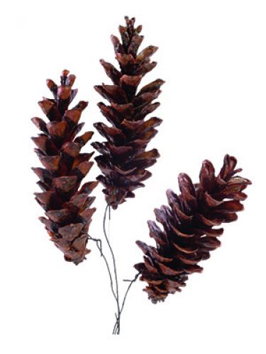 Weymouth cones waxed wired 200 pcs