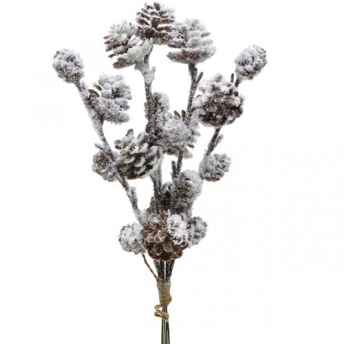 Floristik24 Christmas Branches Cone Branch Snowed 30cm 5 pcs in bunch